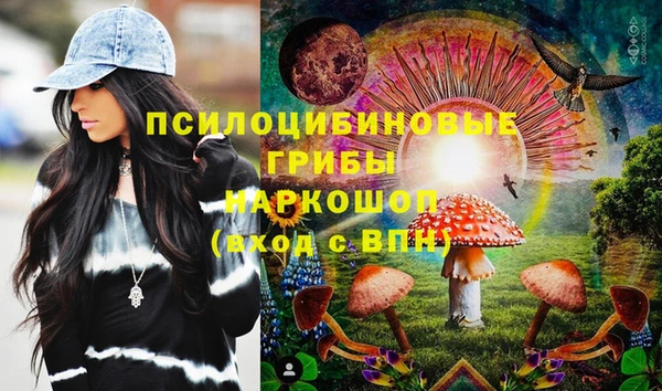 apvp Богородск