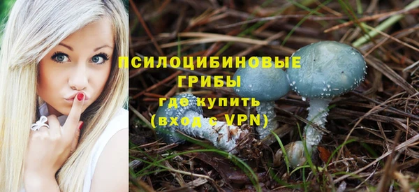 каннабис Богданович