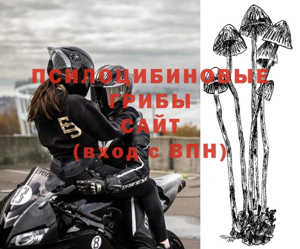 каннабис Богданович