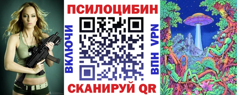 kraken как войти  Сланцы  Галлюциногенные грибы Cubensis  как найти закладки 